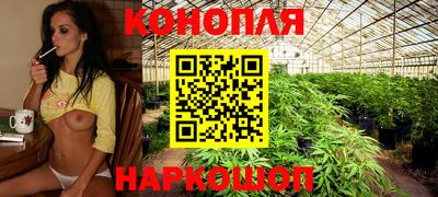 кокс Краснодар