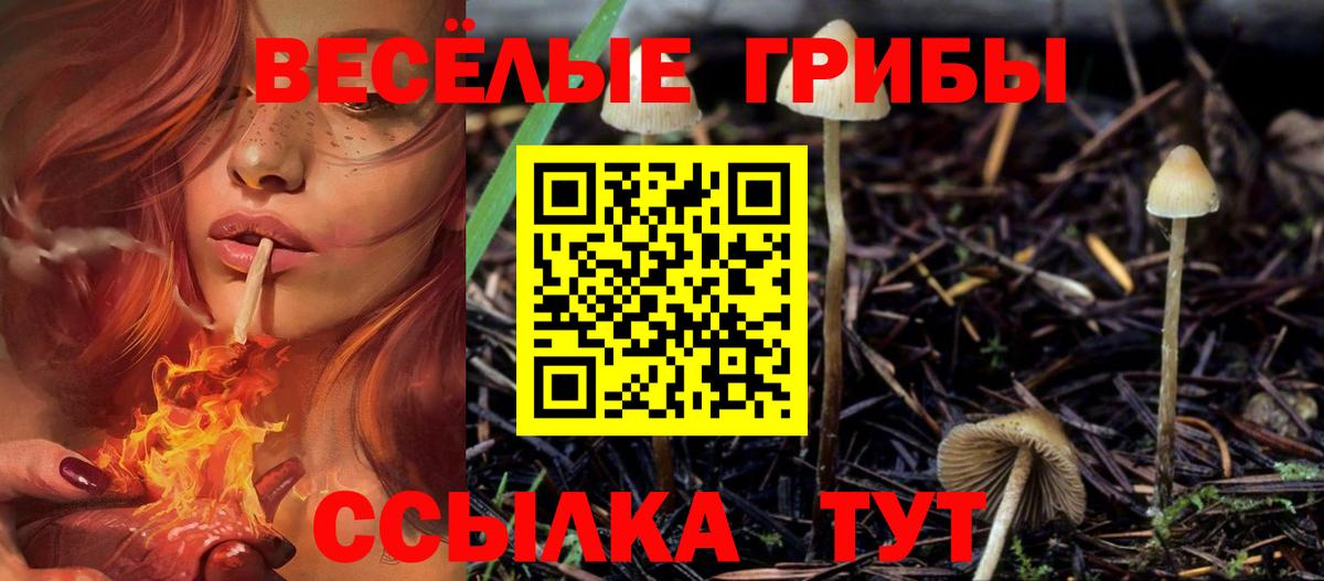 Галлюциногенные грибы Psilocybine cubensis  Вход с VPN  Касимов 